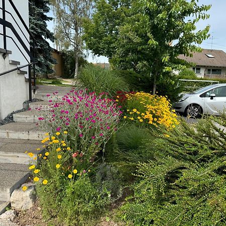 Haus Waldeck Ühlingen-Birkendorf Exterior foto