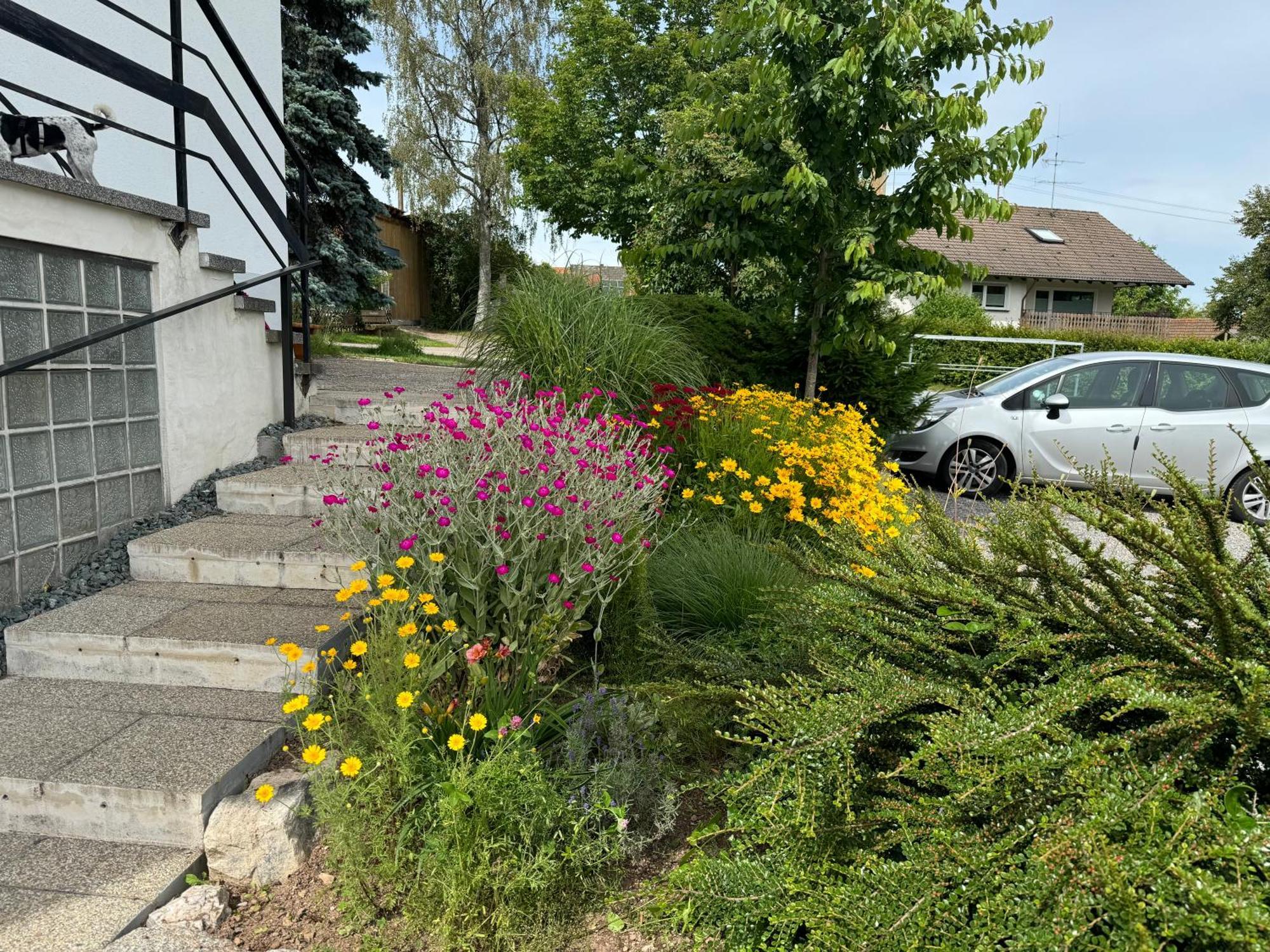 Haus Waldeck Ühlingen-Birkendorf Exterior foto